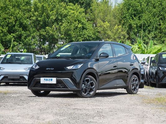 गुणवत्ता  BYD New Model Seagull Electric Mini EV Cars Fast Charging 2025 Small Vehicle Long Range कारखाना