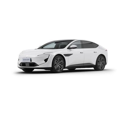 नई लॉन्च की गई 700 किमी शुद्ध इलेक्ट्रिक रेंज स्थायी चुंबक मोटर अवतार12 इलेक्ट्रिक वाहन